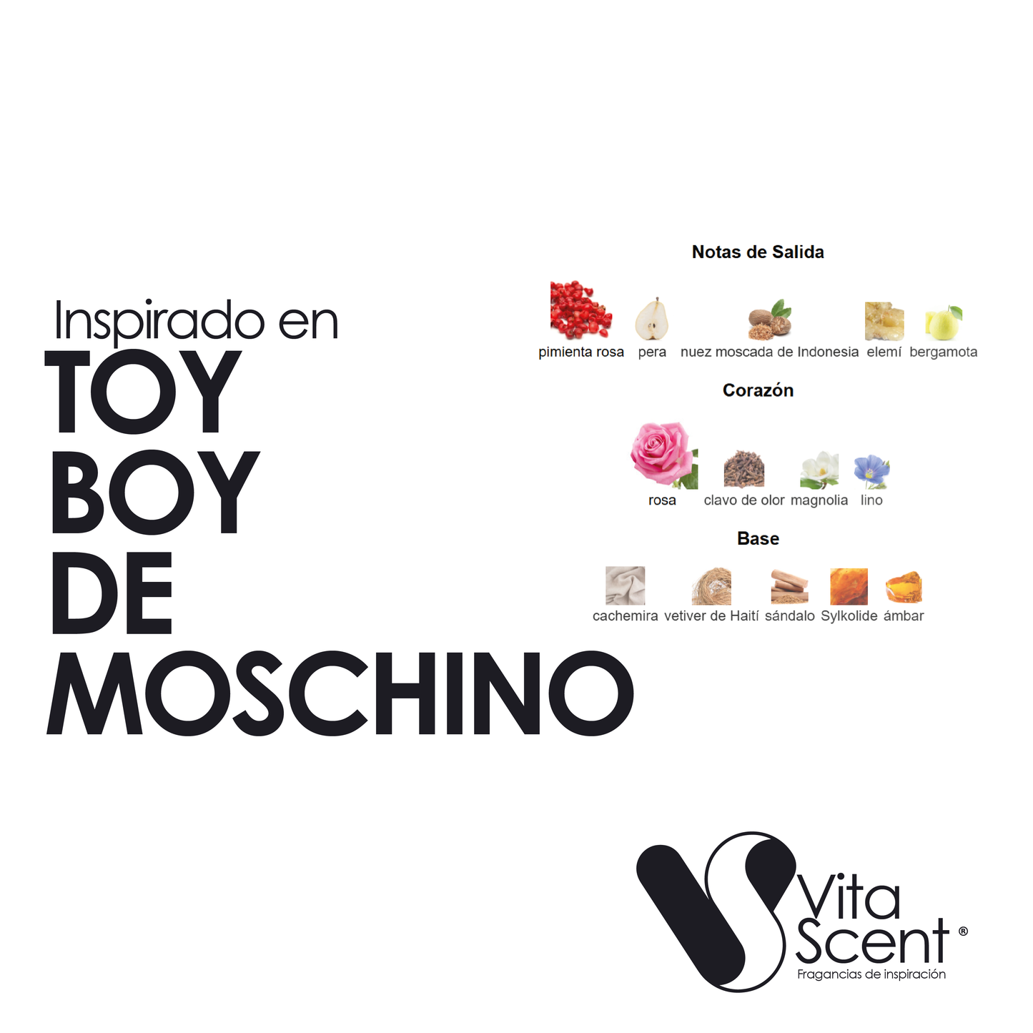Inspirado En: Toy Boy  De Moschino