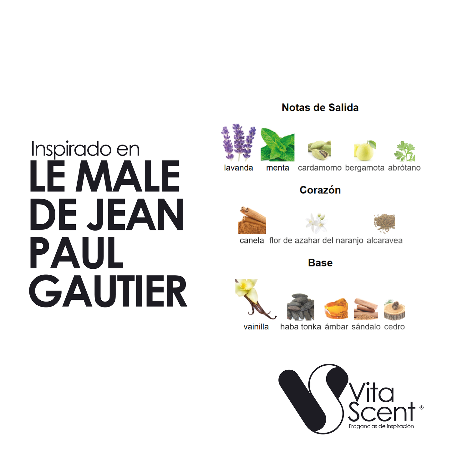 Inspirado En: Le Male De Jean Paul Gautier