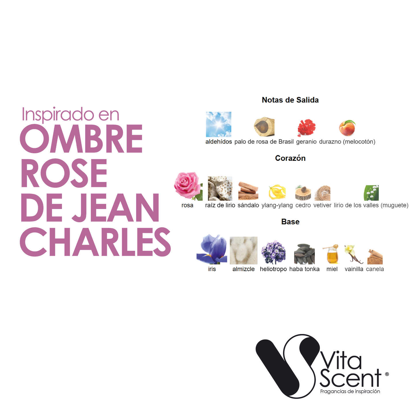 Inspirado En: Ombre Rose De Jean Charles